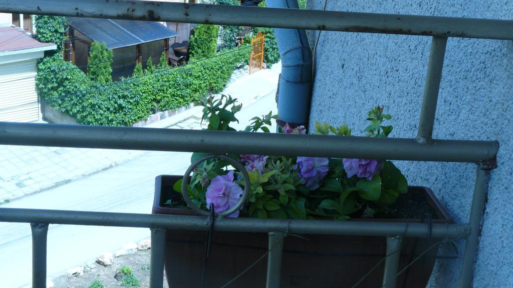 Geto Apartment Bełogradczik Zewnętrze zdjęcie
